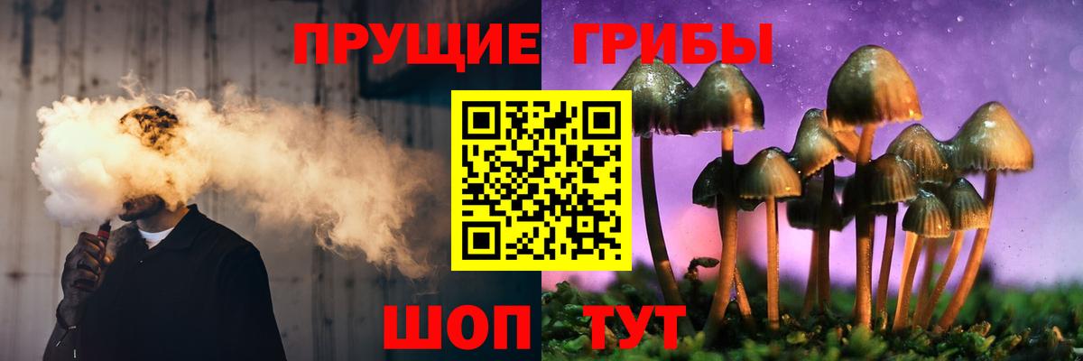 Галлюциногенные грибы прущие грибы  Вход с VPN  Троицк 